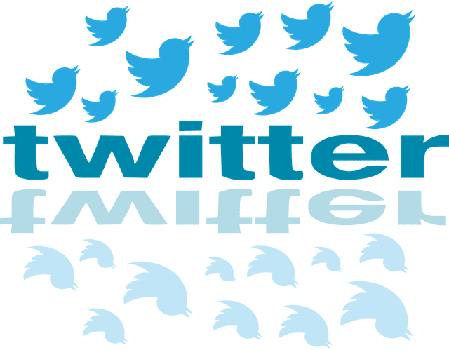 "Twitter" écrit en bleu entouré de son logo : un oiseau bleu.