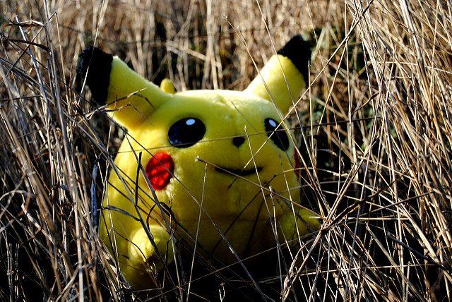 Une peluche Pikachu cachée dans l'herbe sèche.