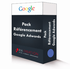 Référencement Google Adwords