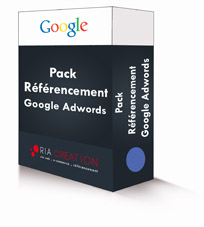Pack référencement Google Adwords Premium