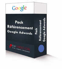 Référencement Google Adwords