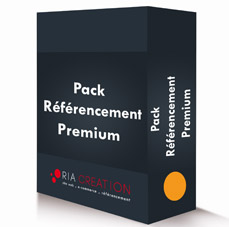 Pack référencement site internet Premium